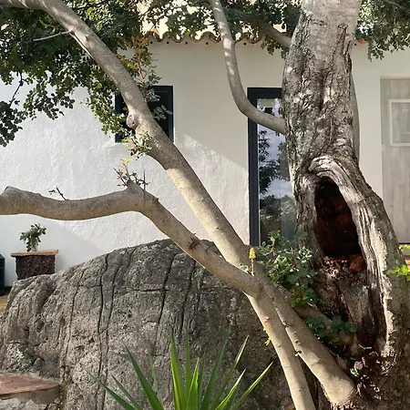 Almoada - Eclectic Boutique Villa