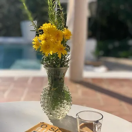 Almoada - Eclectic Boutique Villa Sao Bras de Alportel