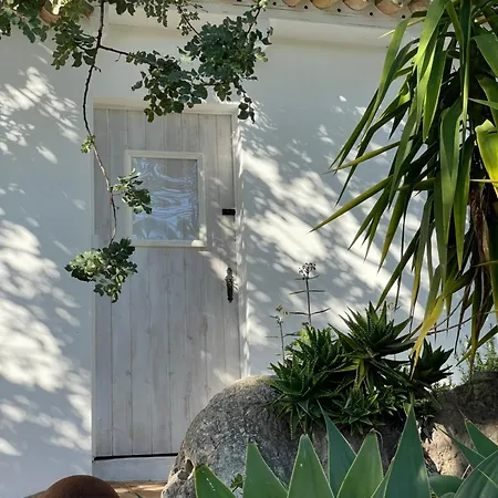 Almoada - Eclectic Boutique * São Brás de Alportel